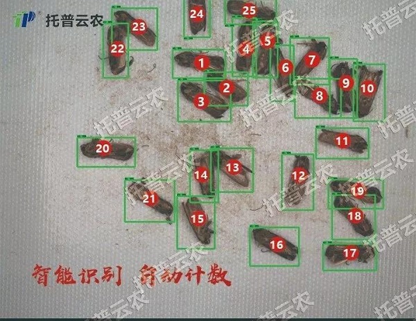 “蟲臉識別”開啟人工智能產(chǎn)業(yè)應用新篇章