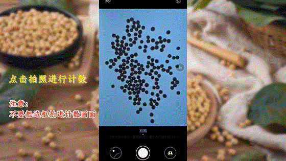 “蟲臉識別”開啟人工智能產(chǎn)業(yè)應用新篇章